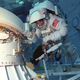 Illustration for article titled Why This Astronaut Thinks NASA Can Save Humanity From Extinction